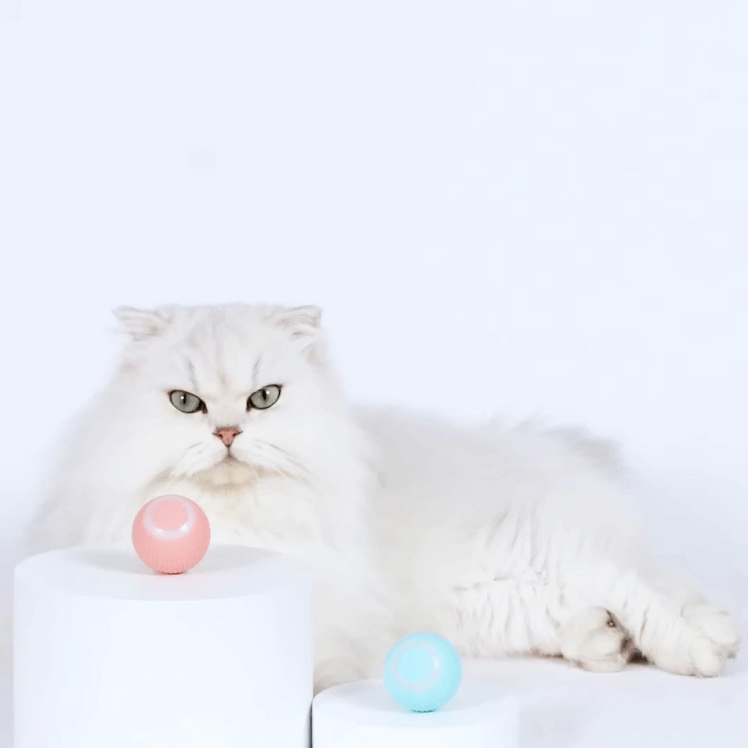 Interactive Smart Ball Toy for Cats