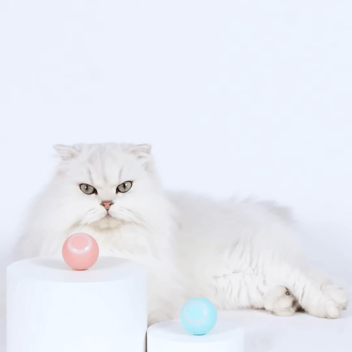 Interactive Smart Ball Toy for Cats