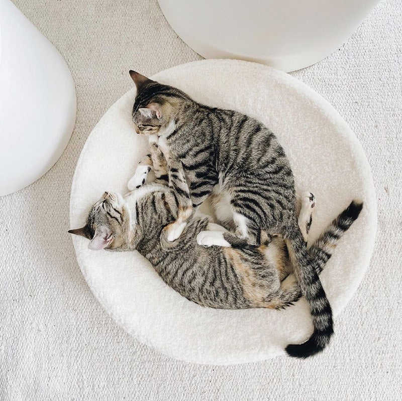 Kip Cat Bed