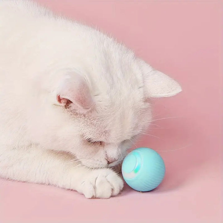 Interactive Smart Ball Toy for Cats