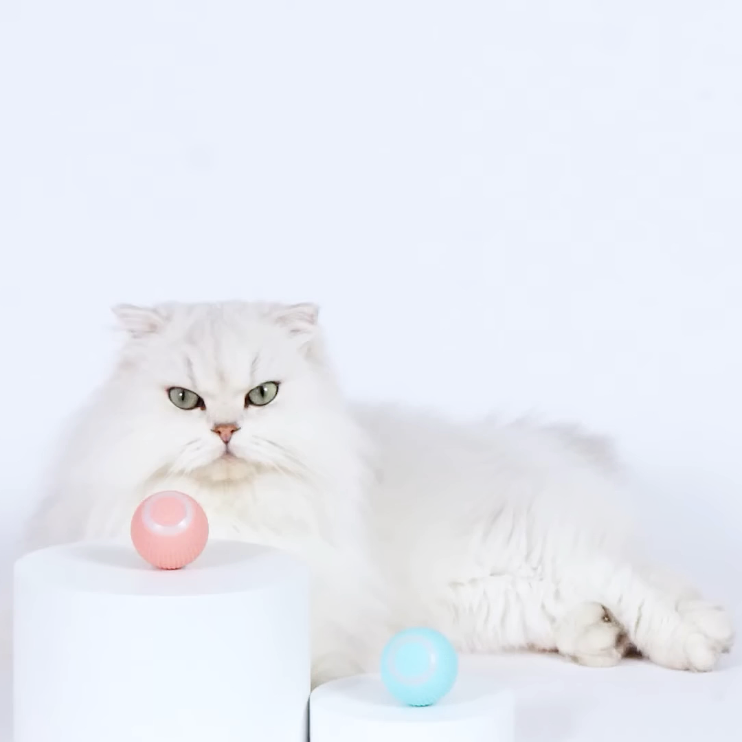 Interactive Smart Ball Toy for Cats