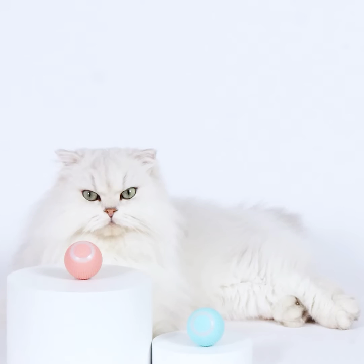 Interactive Smart Ball Toy for Cats