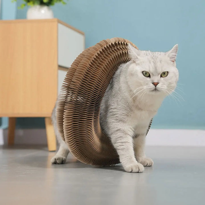 Organic Round Scratching Board for Cats