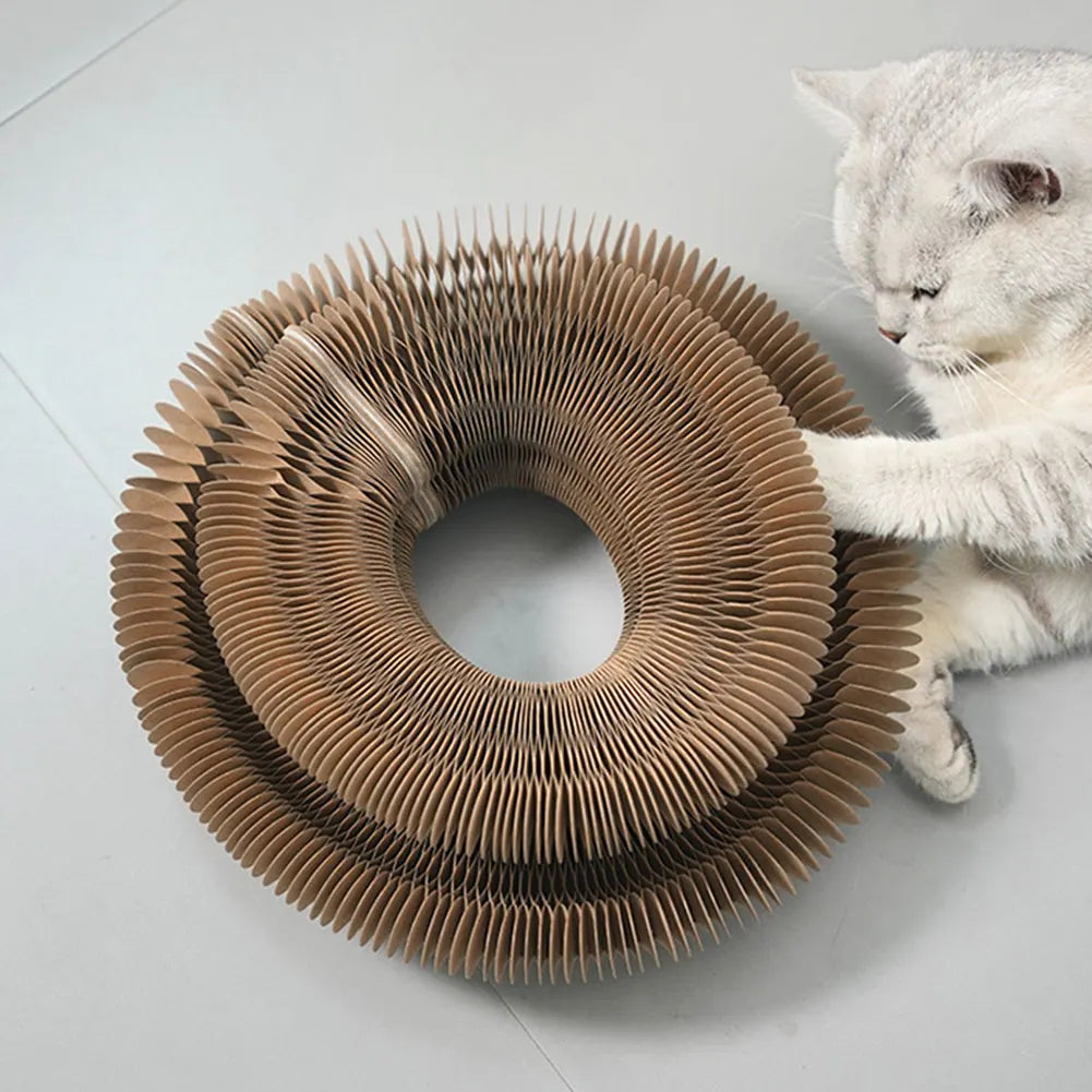 Organic Round Scratching Board for Cats