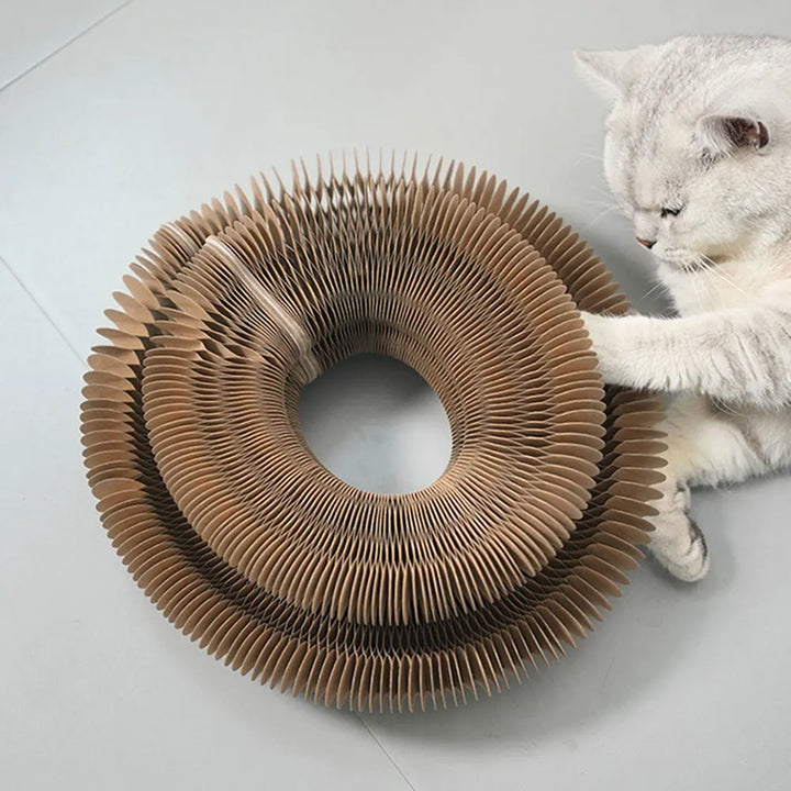 Organic Round Scratching Board for Cats