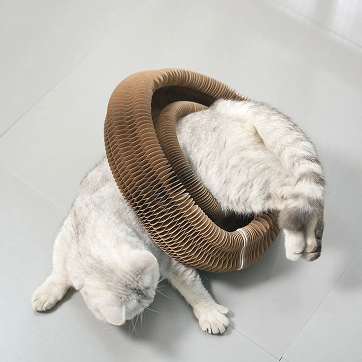 Organic Round Scratching Board for Cats