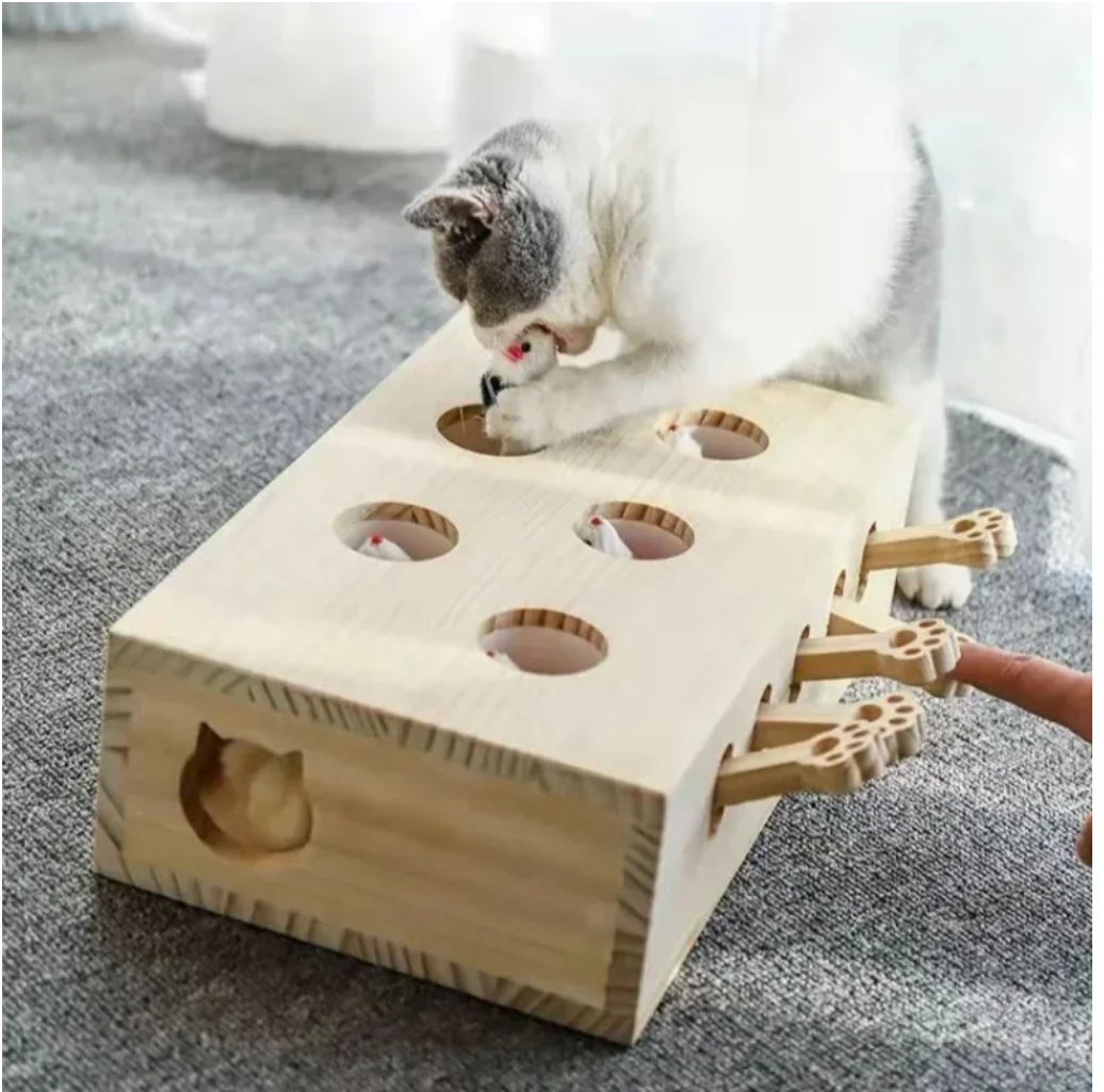 Hunt Puzzle Toy
