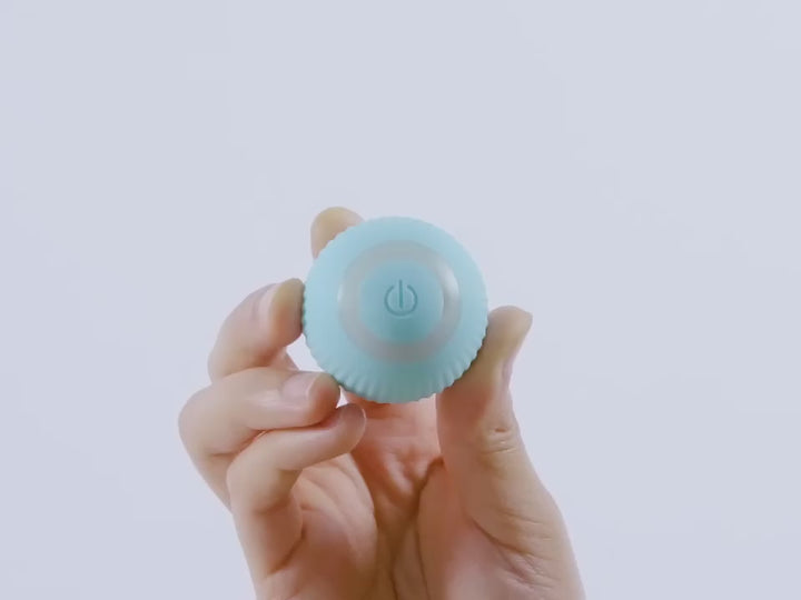 Interactive Smart Ball Toy for Cats